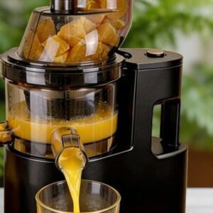 Slow Juicer